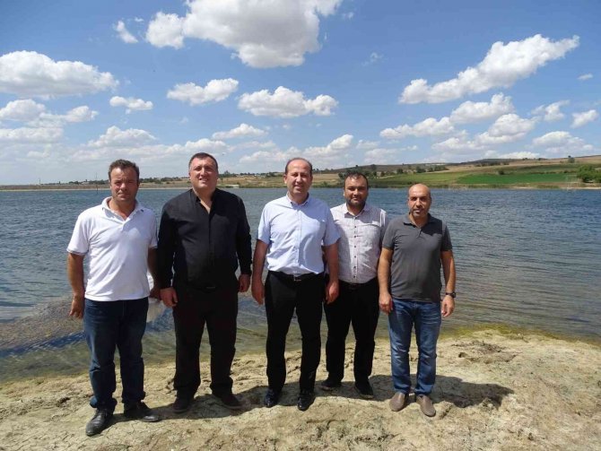 Tekirdağ’da Yüz Binlerce Yavru Sazan Göletlere Bırakıldı