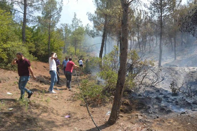 Tokat’taki Orman Yangınında 5 Dönümlük Alan Zarar Gördü