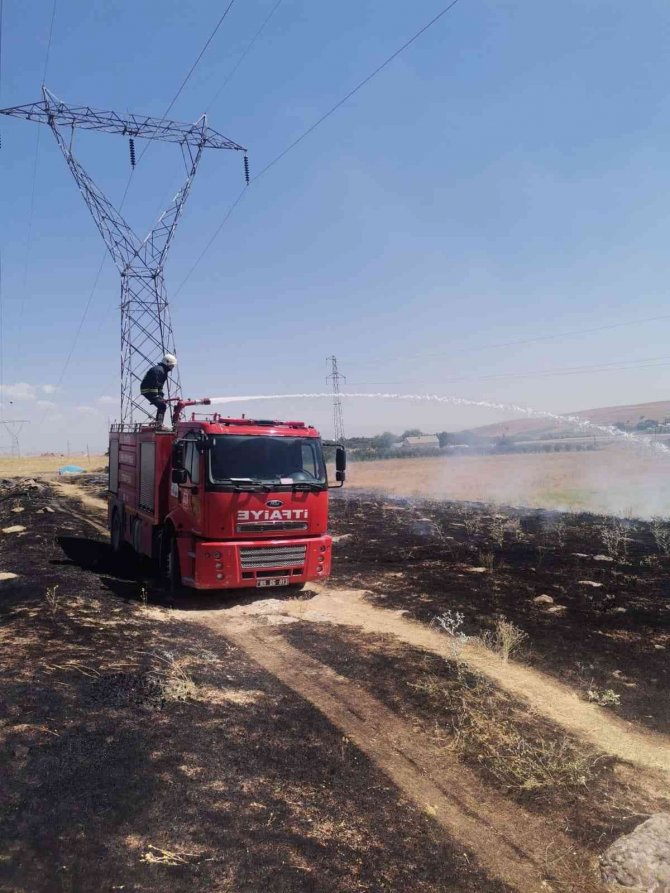 Erciş’te Ot Yangını