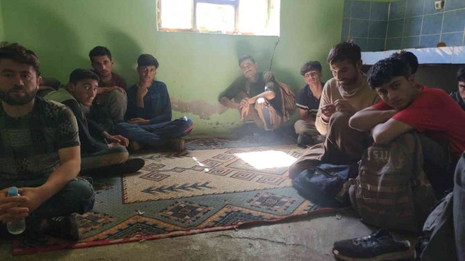 Van’da 33 Düzensiz Göçmen Yakalandı