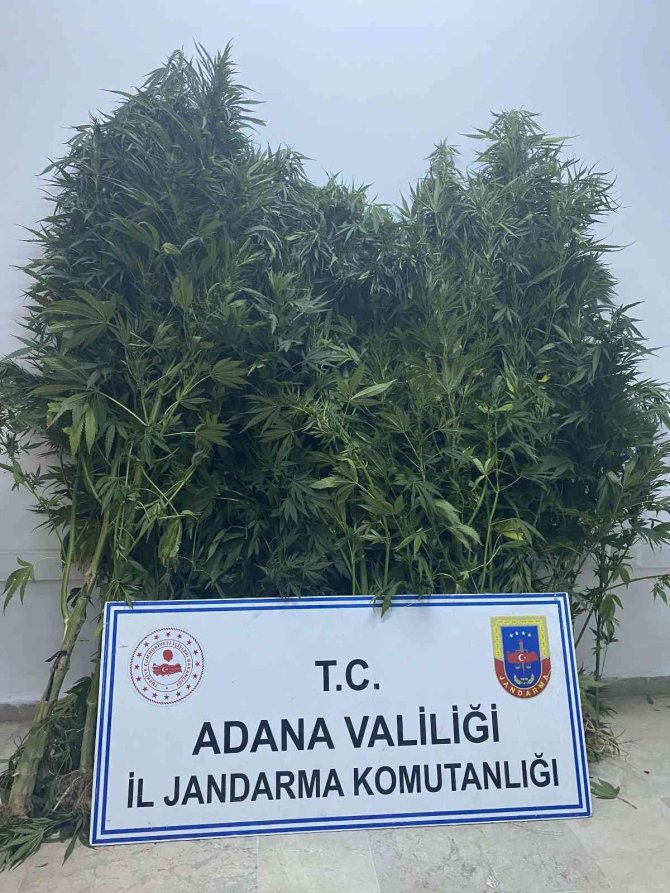 Adana’da Uyuşturucu Operasyonları: 29 Gözaltı