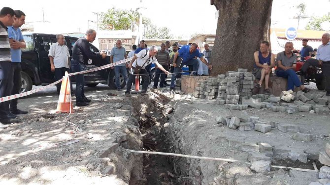 İ̇zinsiz Kazıda Asırlık Anıt Ağacın Köklerini İş Makinesiyle Parçaladılar
