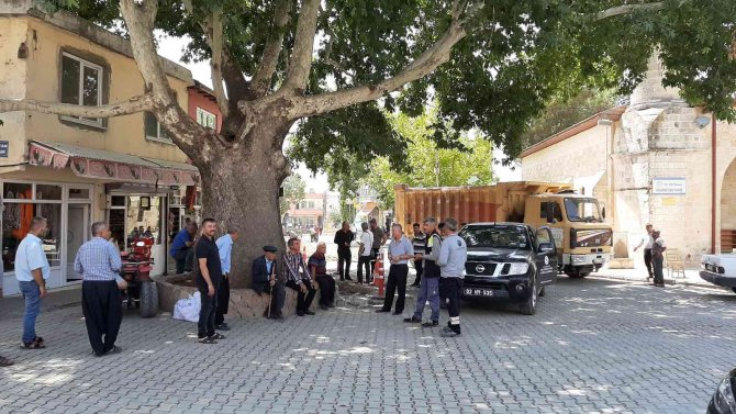 İ̇zinsiz Kazıda Asırlık Anıt Ağacın Köklerini İş Makinesiyle Parçaladılar