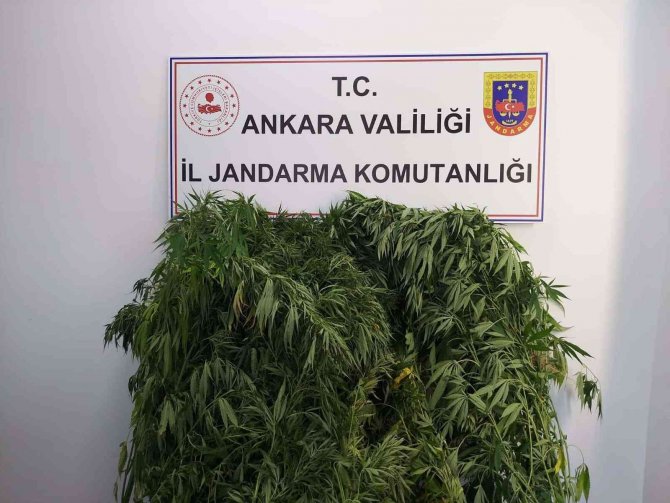 Başkentteki 5 Farklı Uyuşturucu Operasyonunda 7 Kişi Yakalandı