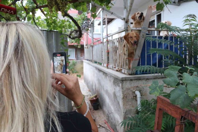 İ̇hbar Üzerine Adrese Gelen Hayvanseverleri Şok Eden Görüntü