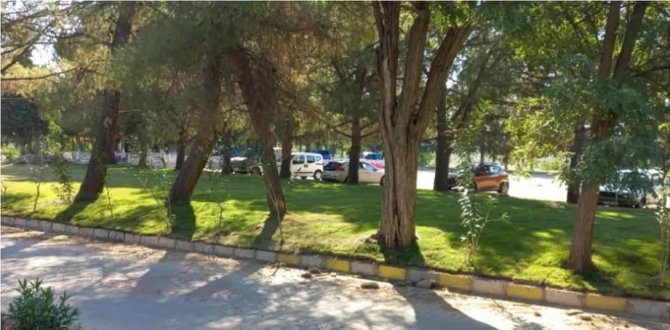 Afrodisias’ta Çevre Düzenlemesi Yapıldı