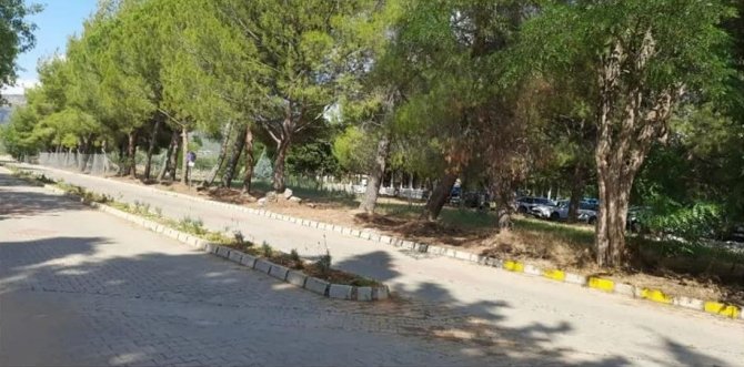 Afrodisias’ta Çevre Düzenlemesi Yapıldı