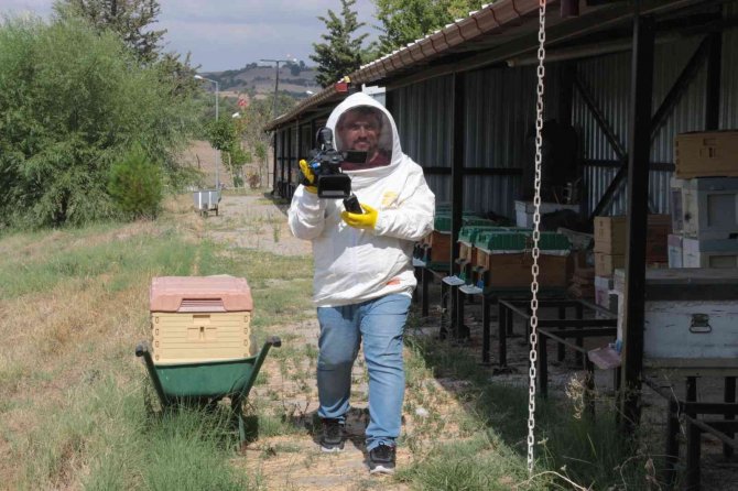 Balıkesir Kraliçe Arısı İle De Meşhur Olacak