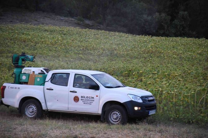 Bilecik Belediyesi’nin Çayır Tırtılı İle Mücadele Çalışmaları Devam Ediyor