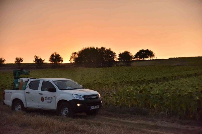 Bilecik Belediyesi’nin Çayır Tırtılı İle Mücadele Çalışmaları Devam Ediyor