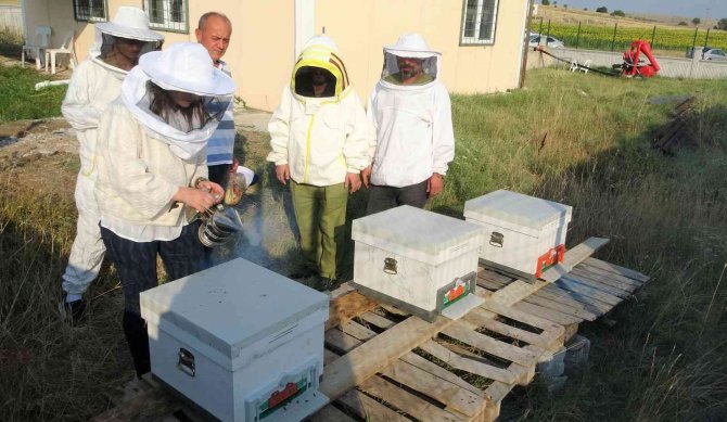 Özel Yetiştirilen Arılar Görev Başında