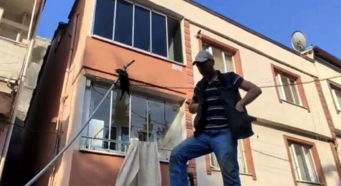 Bursa’da Elektrik Tellerine Asılı Kalan Karga Böyle Kurtarıldı