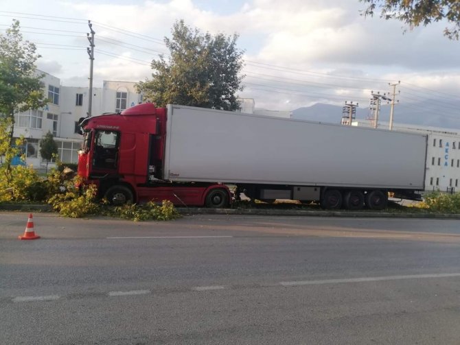 Bursa’da Kontrolden Çıkar Tırı, Ağaçlar Durdurdu