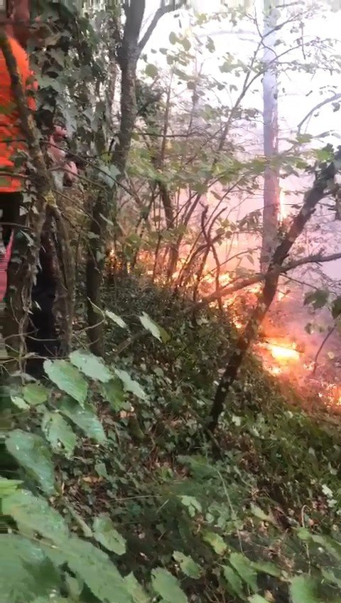Uludağ’ın Eteklerinde Korkutan Yangın