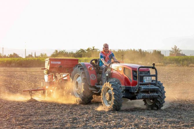 10 Bin Dekarda 20 Milyonluk Yemlik Fiğ Üretimi Yapılacak