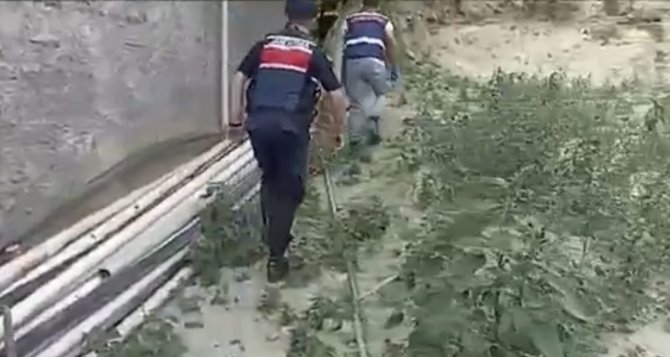 Jandarma Zehir Tacirlerine Göz Açtırmadı