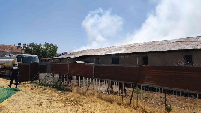 Elazığ’da Ahır Yangını: 18 Büyükbaş Kurtarıldı, 30 Ton Saman Yandı
