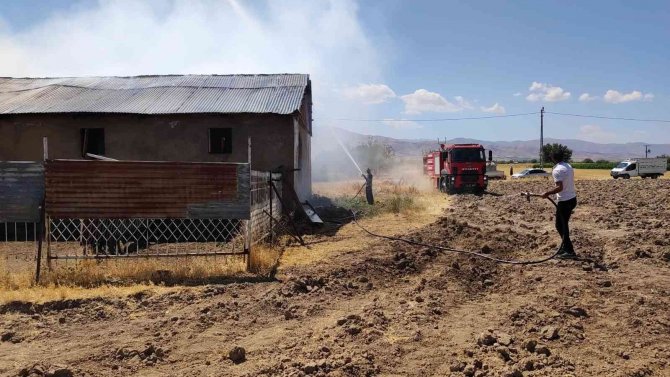 Elazığ’da Ahır Yangını: 18 Büyükbaş Kurtarıldı, 30 Ton Saman Yandı