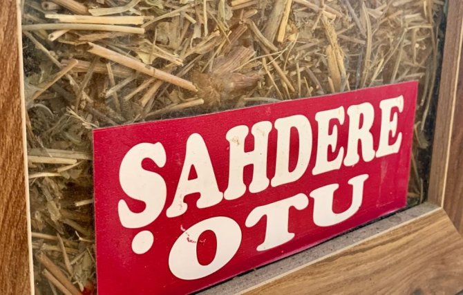 Sıcak Havayla Artan ‘Kaşıntı’ Şikâyetlerine Karşı Aktar Önerileri