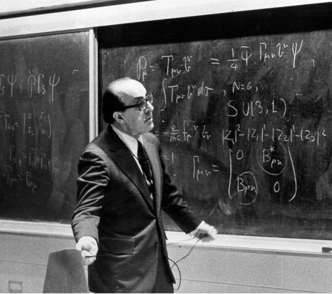 Çaykara’dan Miami’ye Gitti, Fizik Bilimi’ne Yön Verdi