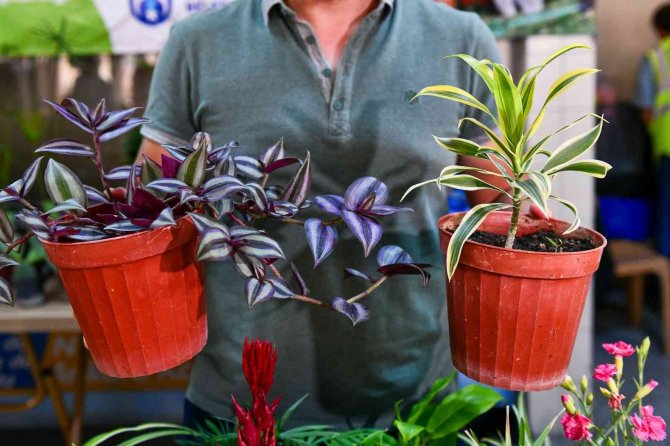 ‘Çiçek Takası’ Uygulamasının Adresi Bu Kez Koru Metrosu