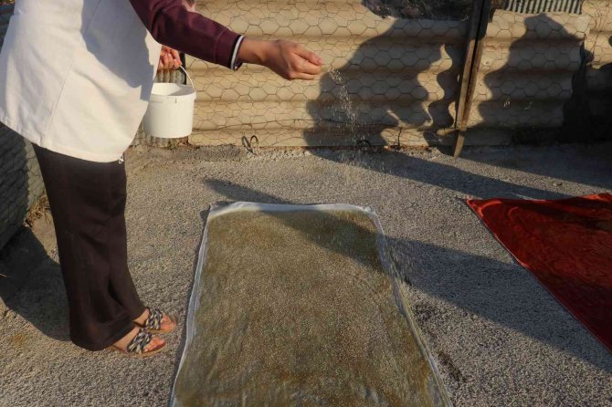Kadınların Ürettiği Ev Yapımı Dut Pestillerine Yoğun Talep