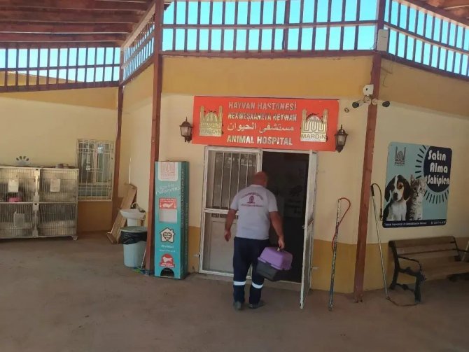 Kızıltepe’de ’Haybulans’ Sokak Hayvanlarının İmdadına Koşuyor