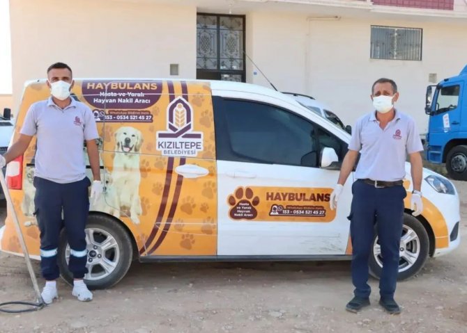 Kızıltepe’de ’Haybulans’ Sokak Hayvanlarının İmdadına Koşuyor