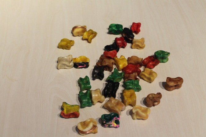 Resim Yeteneği Sayesinde Sayısız Aşık Kemiğine Büyükbaş Hayvanların Resimlerini Çizip Boyadı