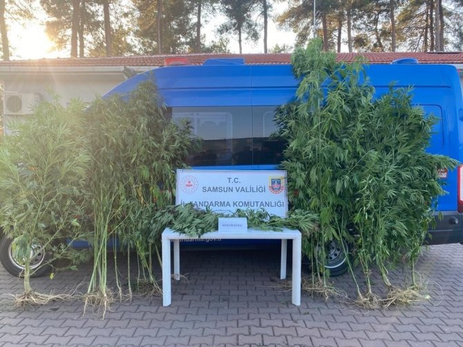Samsun’da Uyuşturucu Ve Kaçakçılık Operasyonları: 28 Gözaltı