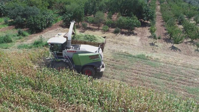 Şehzadeler’de Tarıma Kazandırılan Atıl Arazide İlk Hasat Yapıldı