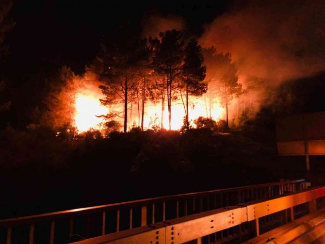 Sinop’un Gerze İlçesinde Çıkan Orman Yangını Korkuttu