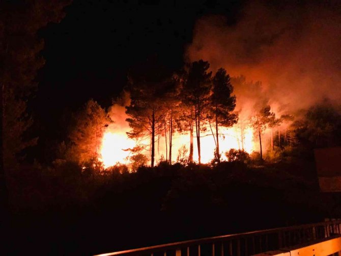 Sinop’un Gerze İlçesinde Çıkan Orman Yangını Korkuttu
