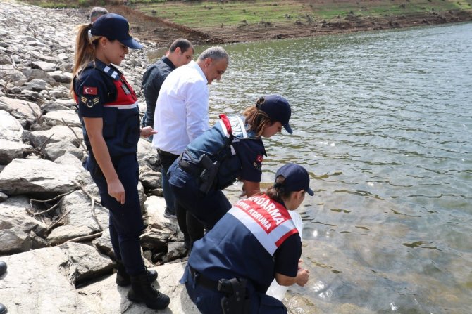 Kırklareli’nde 30 Bin Balık Yavrusu Göletlere Salındı