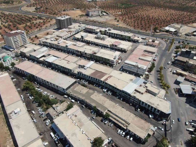 Antep Fıstığının Fiyatını Bu İlçe Belirliyor