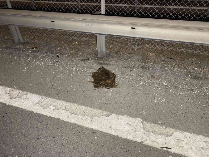 Tuzla Tem’de Feci Kaza: 1 Kişi Hayatını Kaybetti