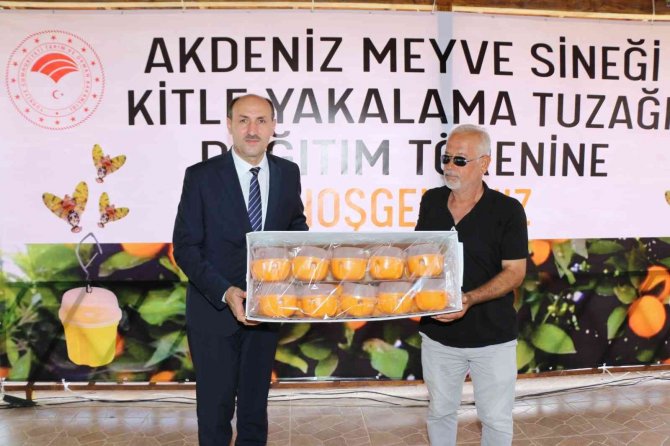 Narenciyede Sinek Alternatif Mücadeleyle Yok Edilecek