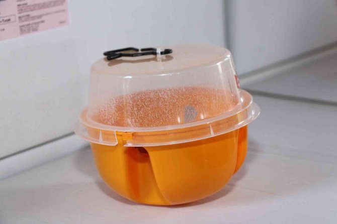 Narenciyede Sinek Alternatif Mücadeleyle Yok Edilecek