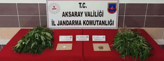 Aksaray’da Jandarmadan Uyuşturucu Operasyonu