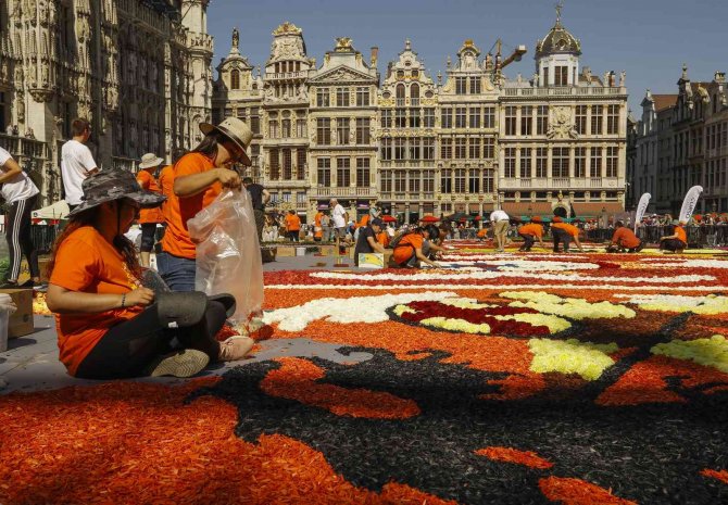 Belçika’nın Geleneksel "Çiçek Halısı" 4 Yıl Sonra Yeniden Döşendi