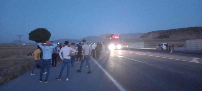 Otomobil Sürüye Çarptı, 30 Koyun Telef Oldu
