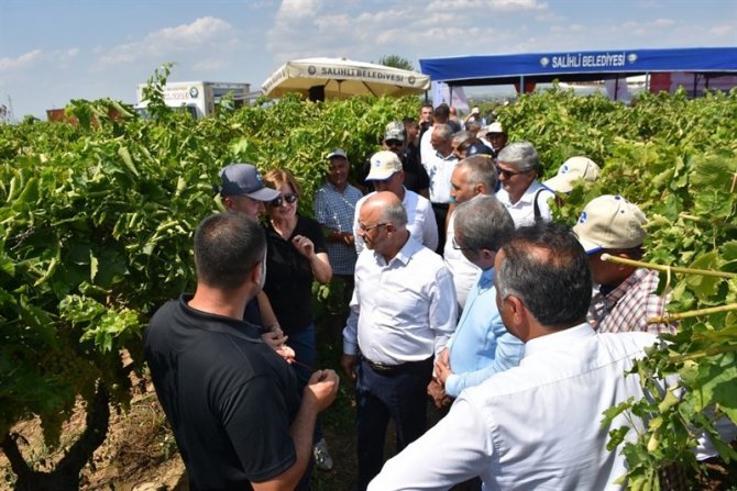 Salihli’de Örnek Proje Tarla Günü İle Kutlandı