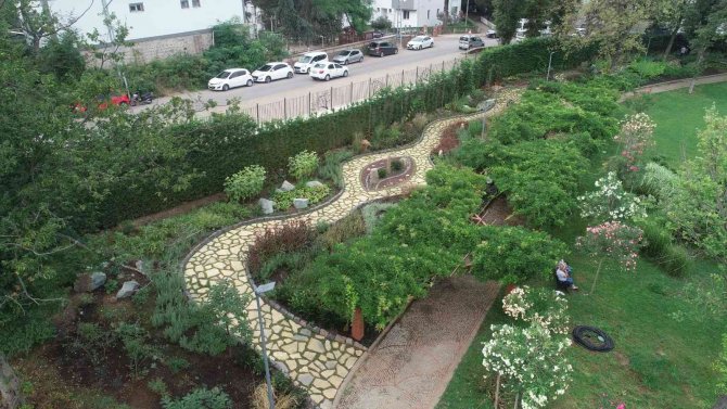 ‘Tıbbî Ve Aromatik Bitkiler Koleksiyon Bahçesi’ Hayran Bırakıyor