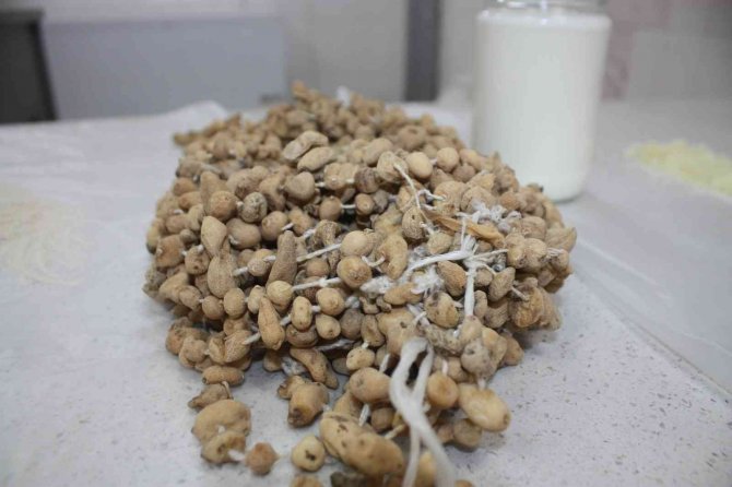 Diyarbakır’ın Yerli Şifa Deposu Dondurma Tescillendi