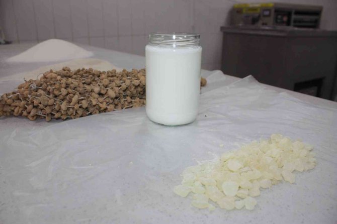 Diyarbakır’ın Yerli Şifa Deposu Dondurma Tescillendi