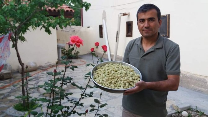 Genç Girişimcinin Ektiği Dutlar Yüz Güldürdü