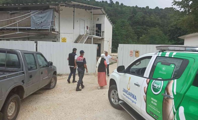 Tavuk Kümeslerine Sıkı Denetim