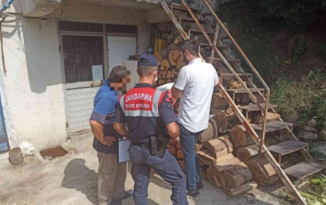 Tavuk Kümeslerine Sıkı Denetim