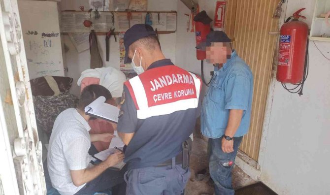 Tavuk Kümeslerine Sıkı Denetim