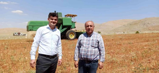 Dünyanın En İyi Balını Üretmek İçin Ekti, Çölyak Hastalarına Da Umut Oldu